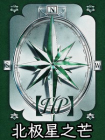 [哈利波特同人] 北极星之芒