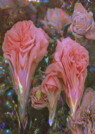 ǿ�ƻ���